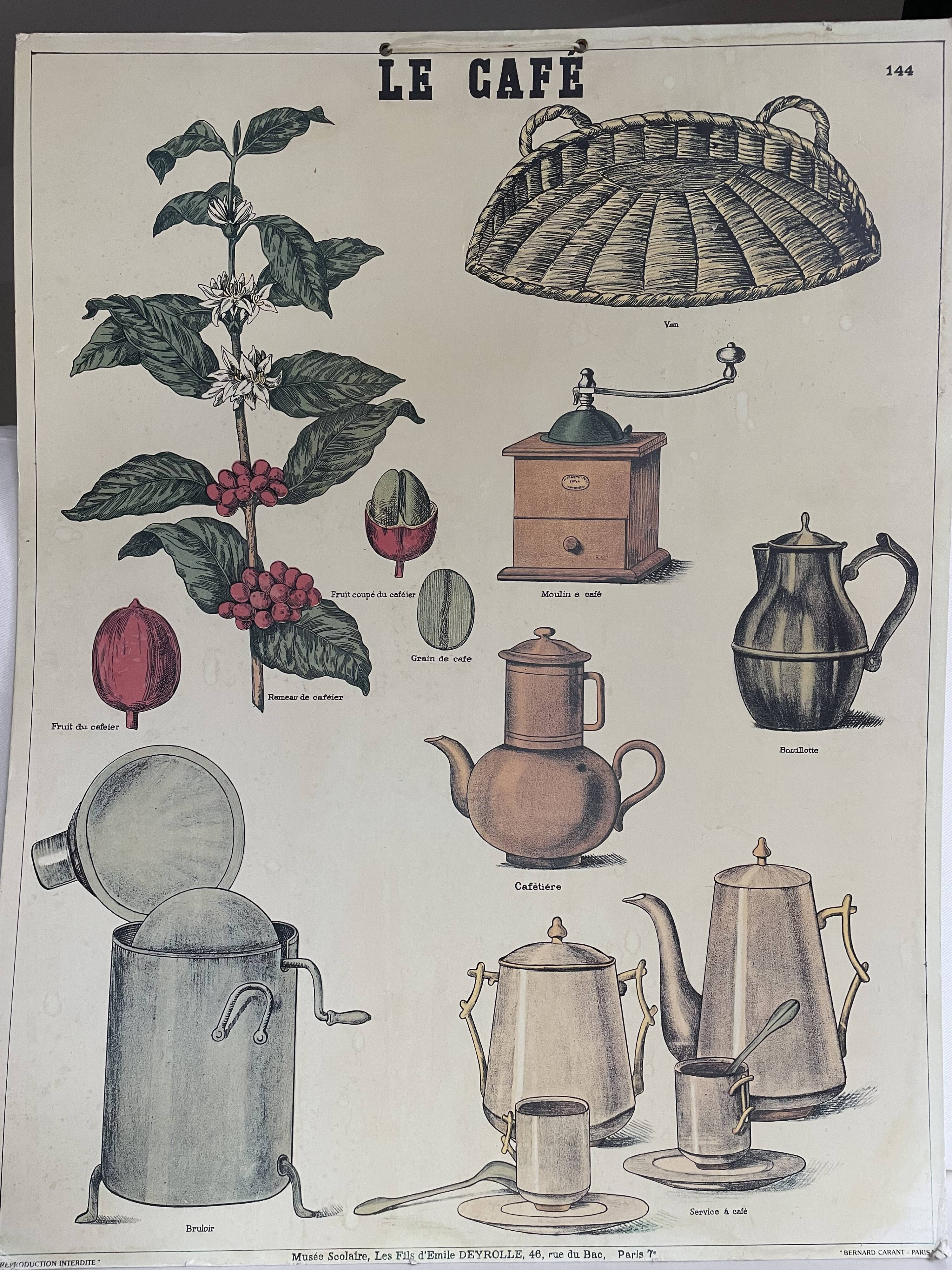 Le Café - Affiche pédagogique Deyrolle imprimée par Bernard Carant, Paris