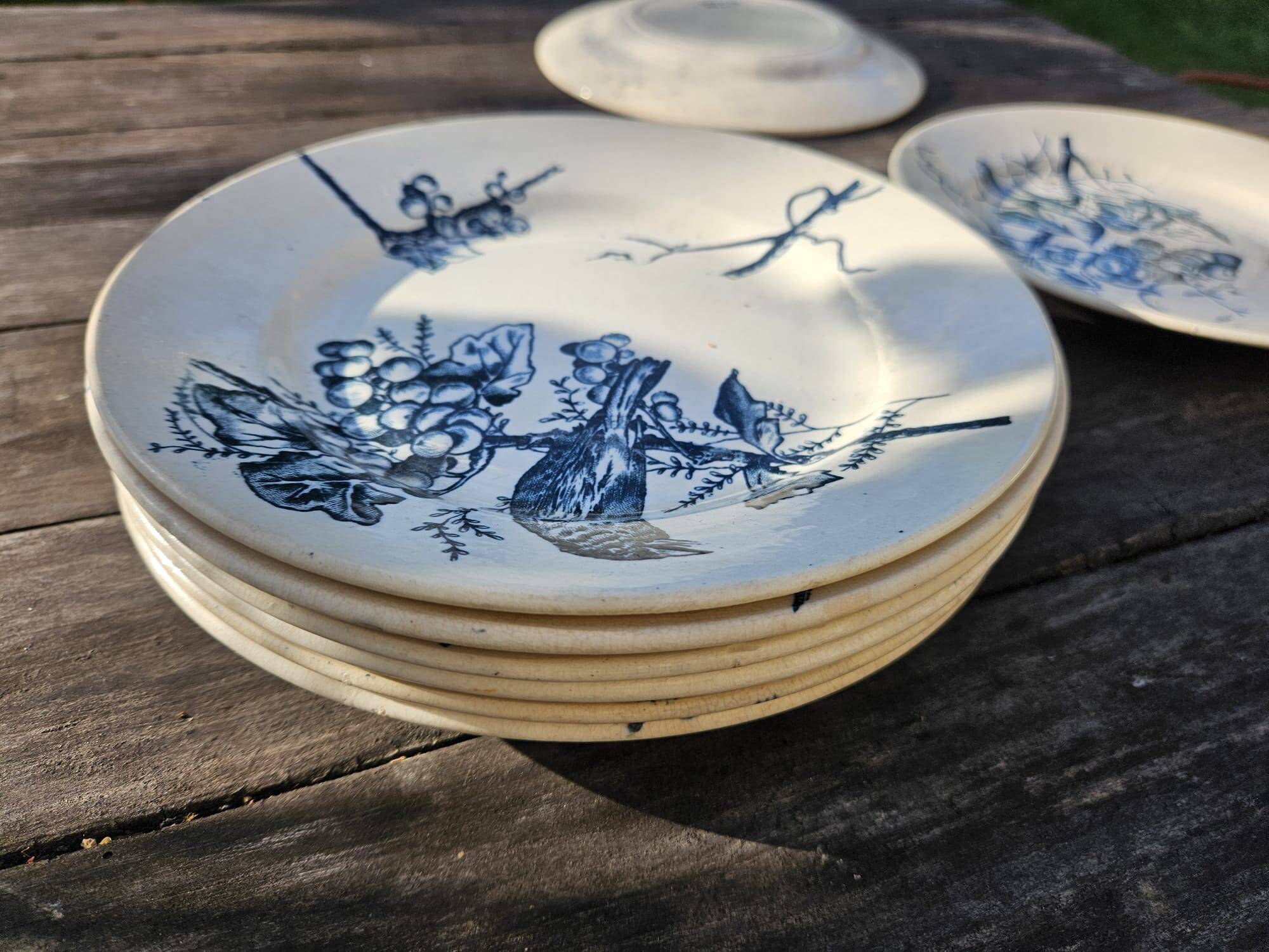 Antique 19th century plate, Terre de Fuego, blue with bird motif