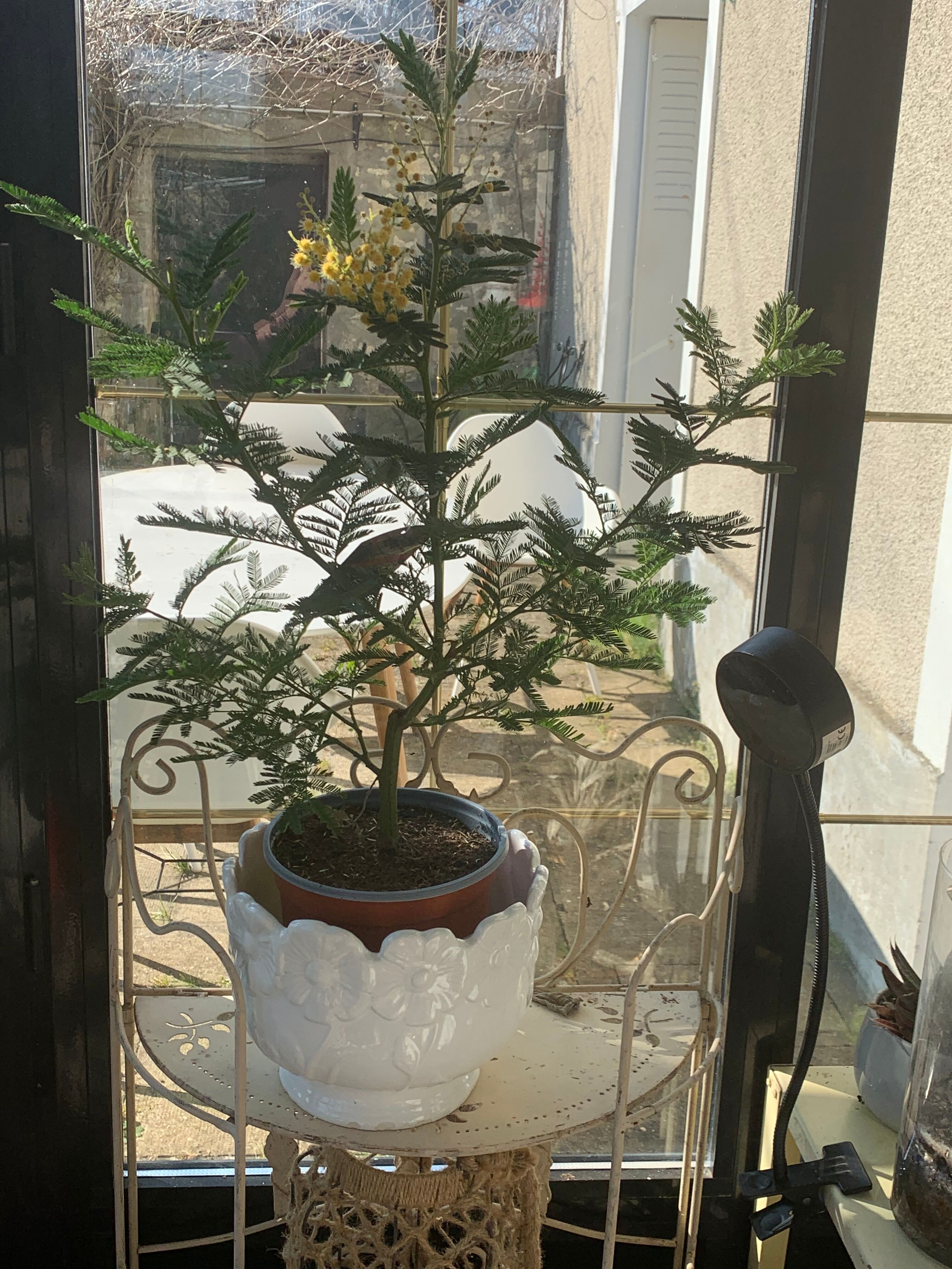 Pot cover in ceramic slurry glazed white floral pattern