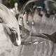Pichet à l'eau Baccarat