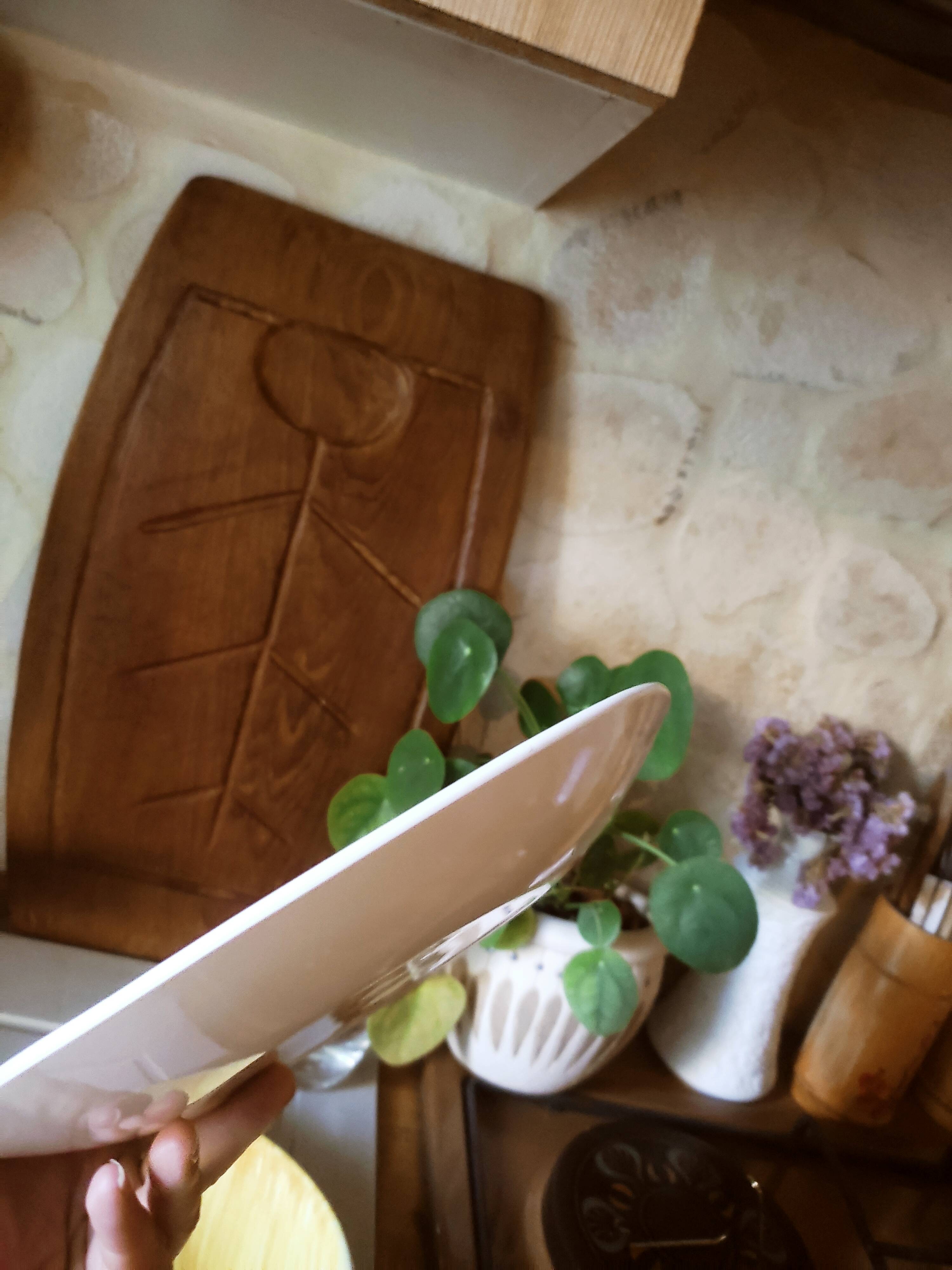 5 oval plates Aquilon by Salins