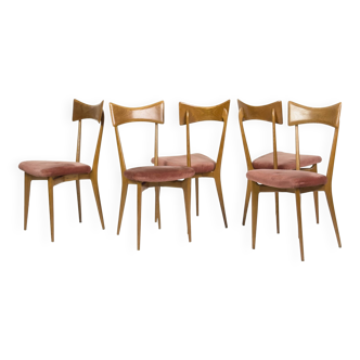 Set of 6 vintage dining chairs by Ico Parisi for Ariberto Colombo, Cantù