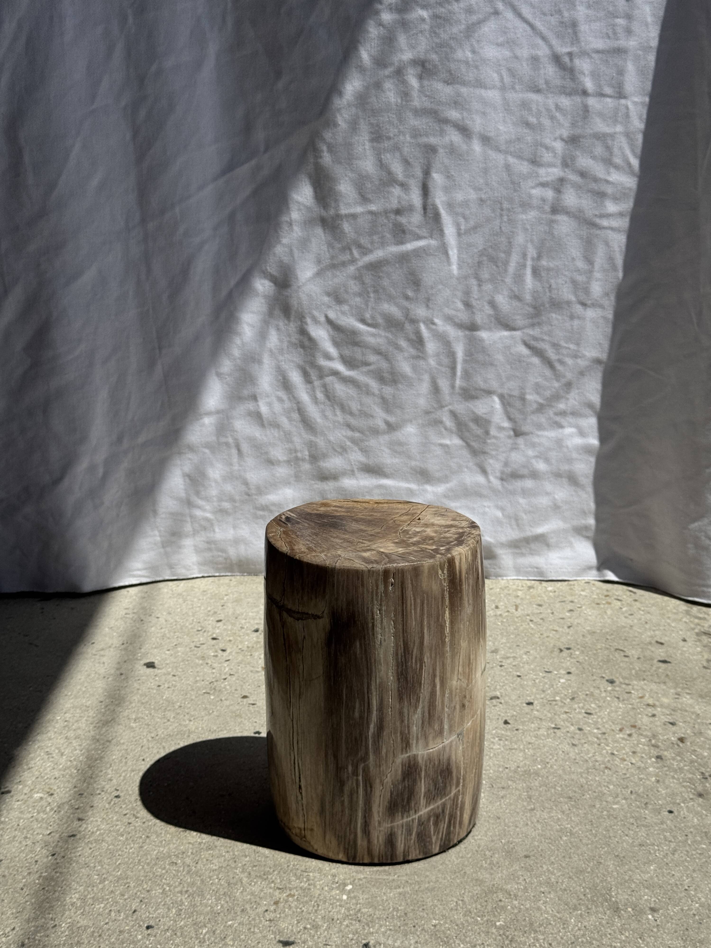 Petite table d'appoint en bois pétrifié beige gris H28 D18 - 3325