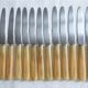 12 fruit knives, dessert. horn handle. length 19 cm