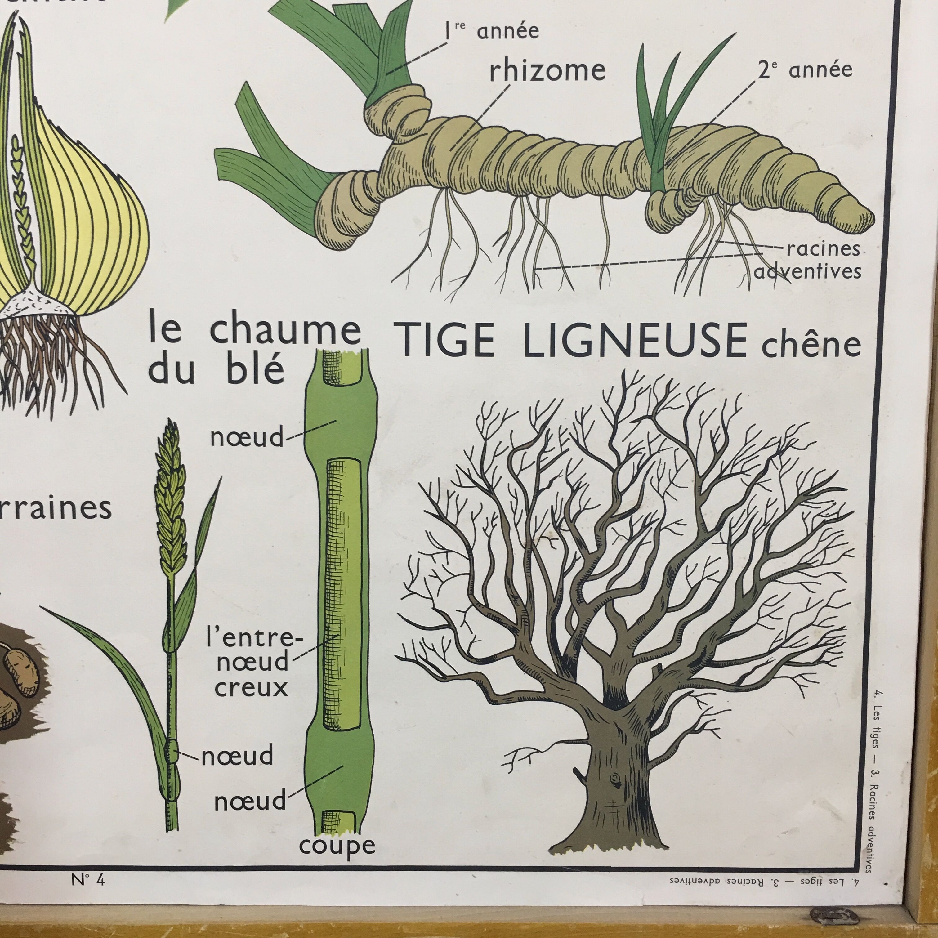 School poster by Rossignol double side