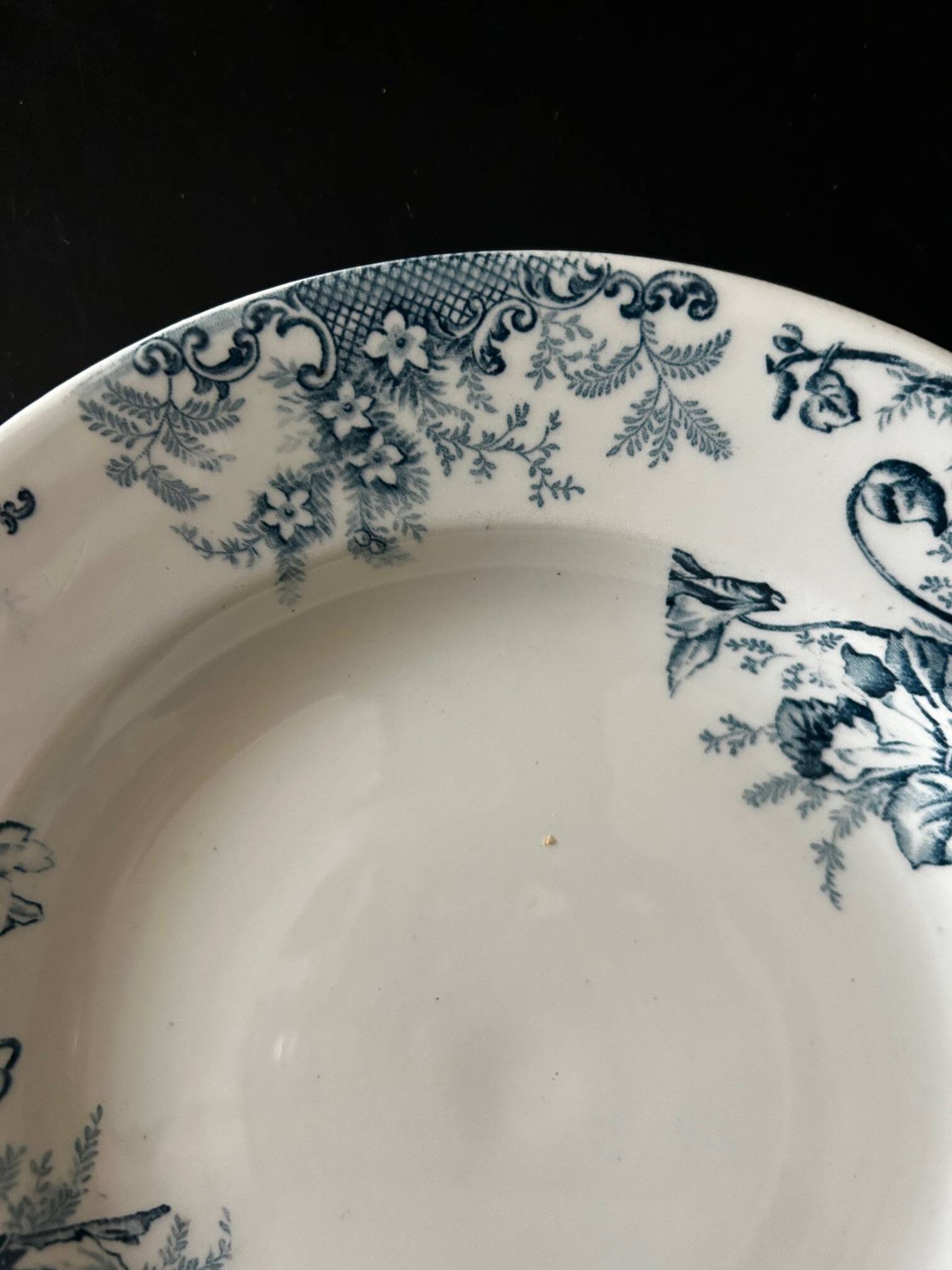 13 deep plates Terre de fer Cyclamens Louis Graves