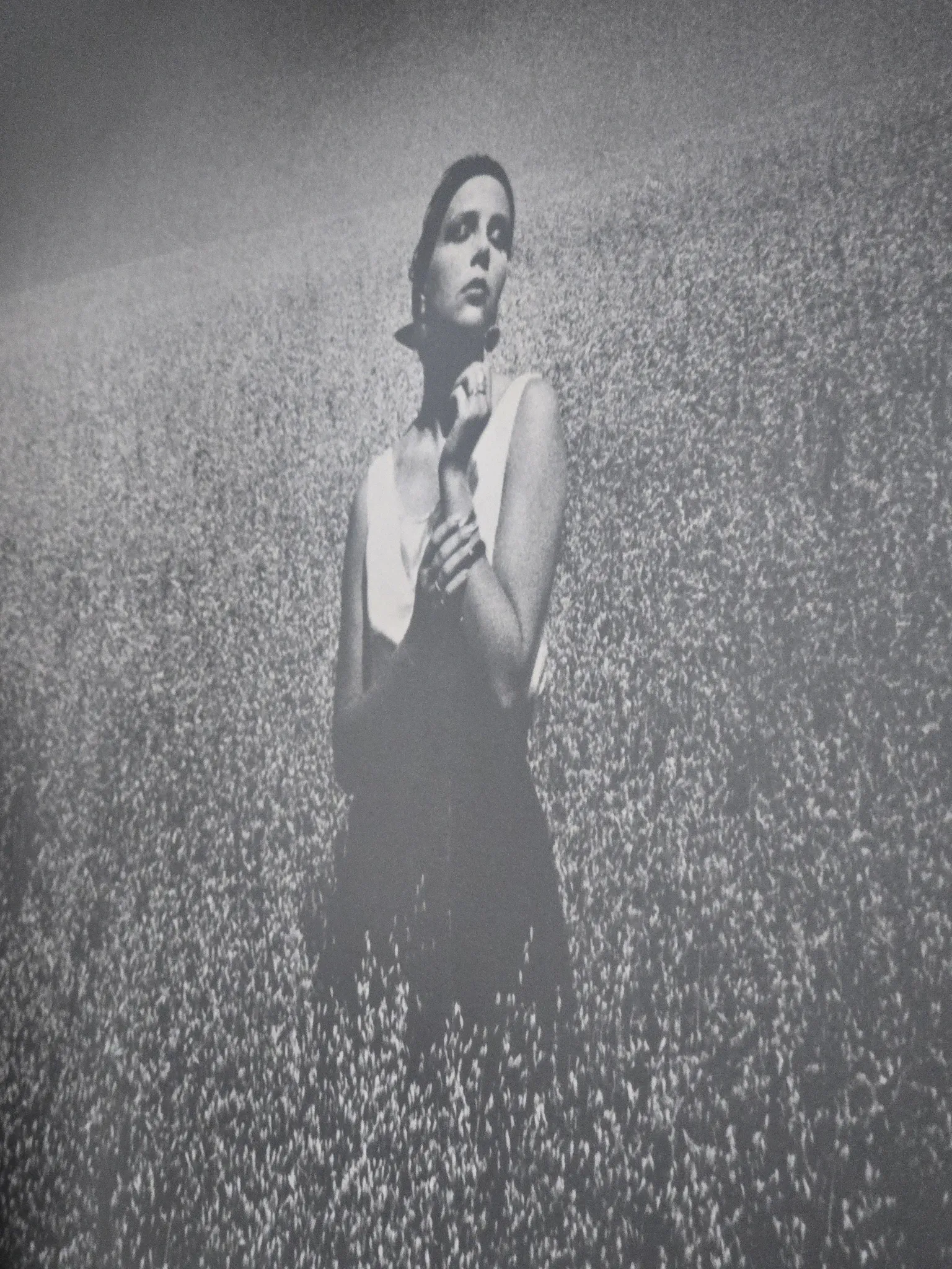 Vintage photograph print 1985 analogue XXL