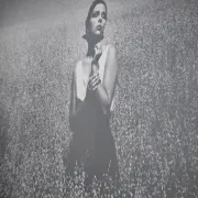 Vintage photograph print 1985 analogue XXL