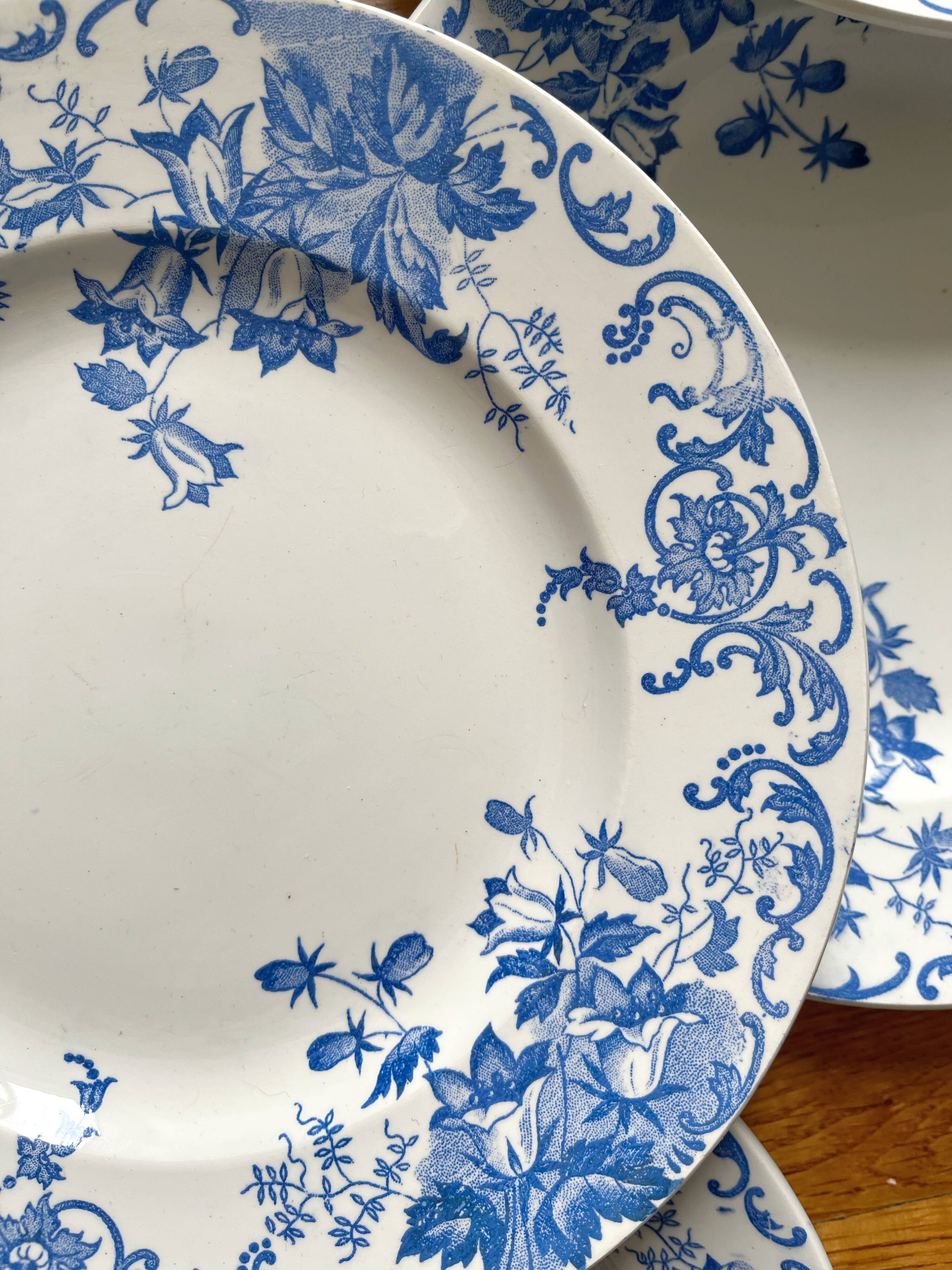 12 small flat plates "Campanule" Saint Amand and Hamage