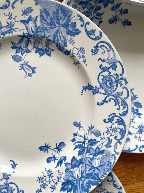 12 petites assiettes plates  ''Campanule'' Saint Amand et Hamage