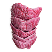 Lot de bols chou rose
