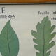Set of 10 Rossignol posters on plants with frame