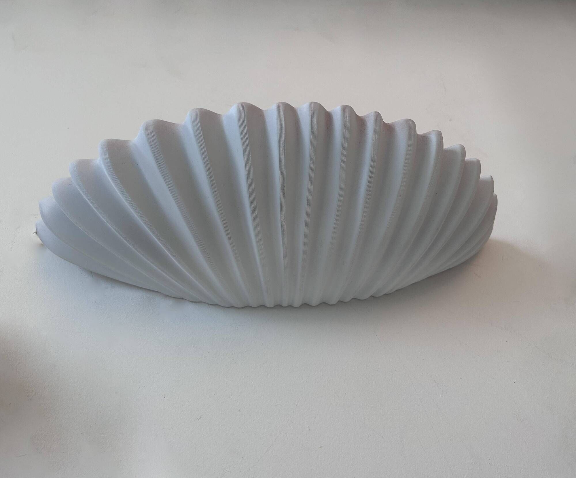 Pair of vintage shell wall lights, matte white, France 1970