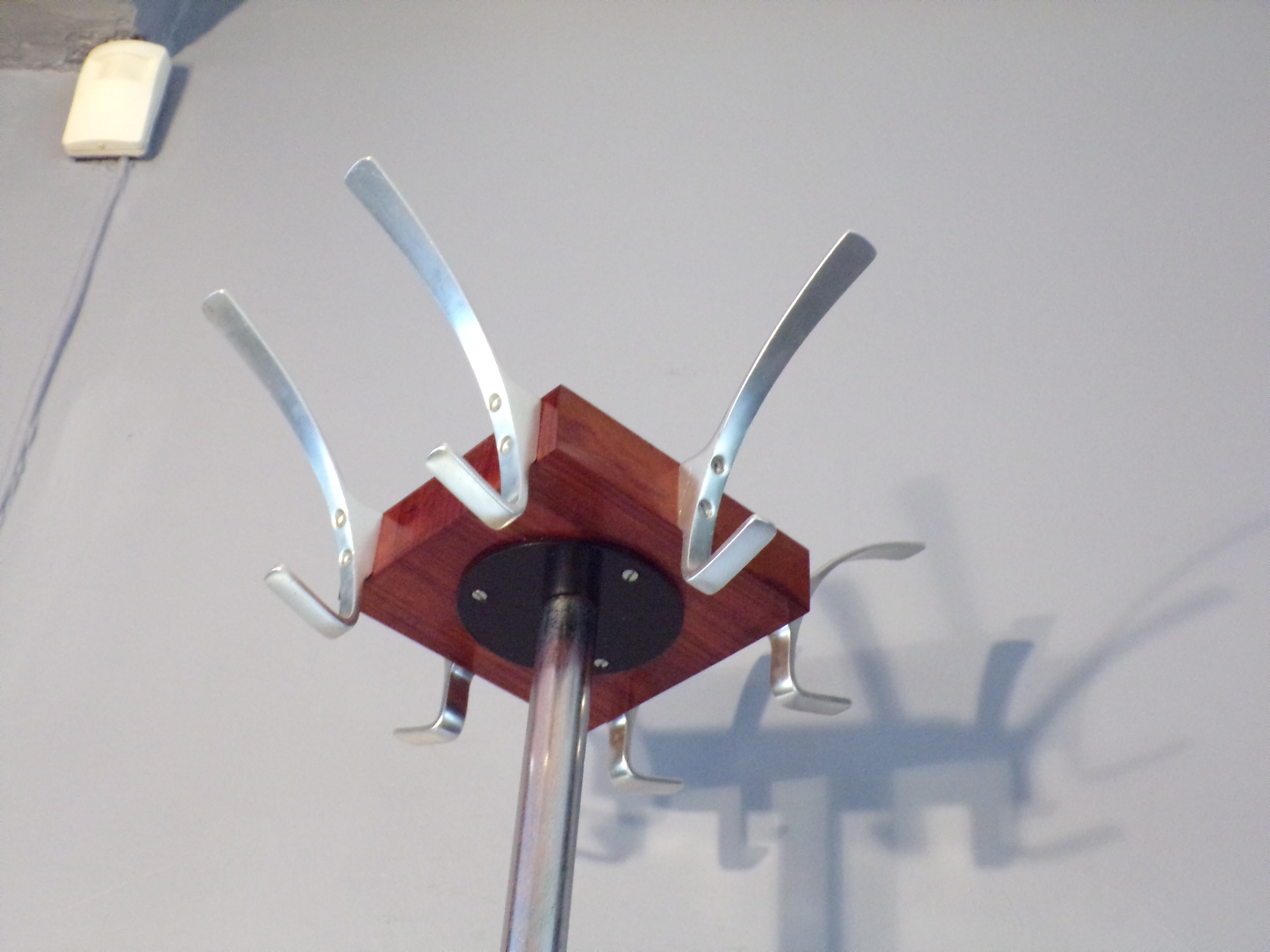 Scandinavian parrot coat hanger