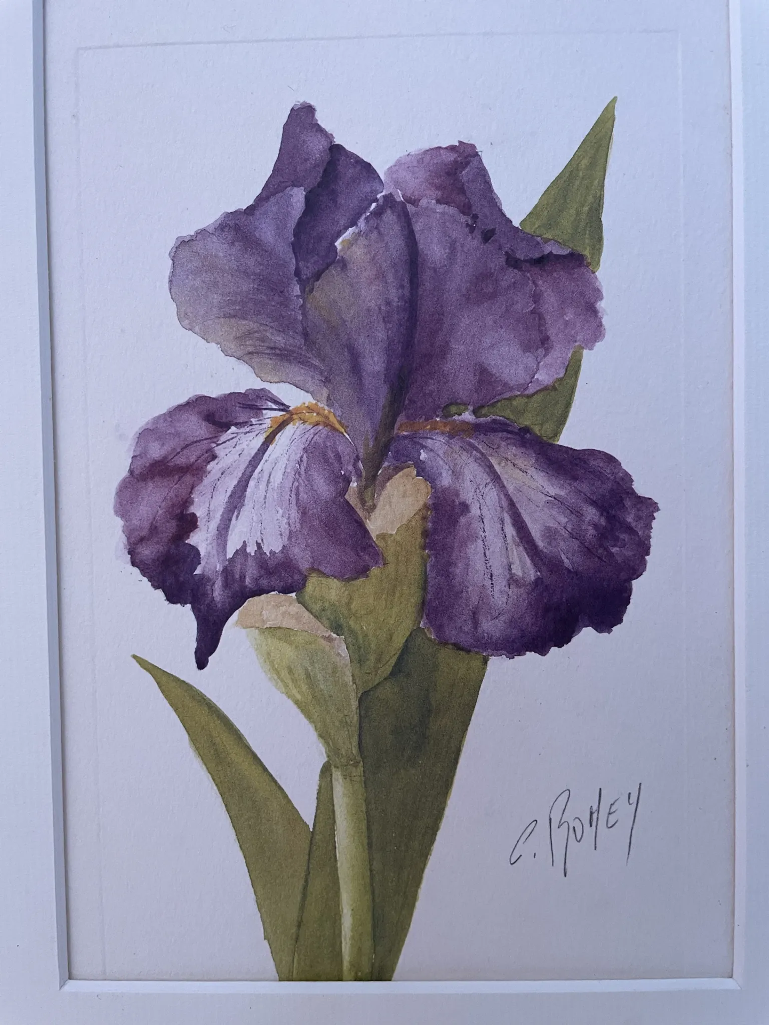 Duo d’aquarelles de Cecil Romey