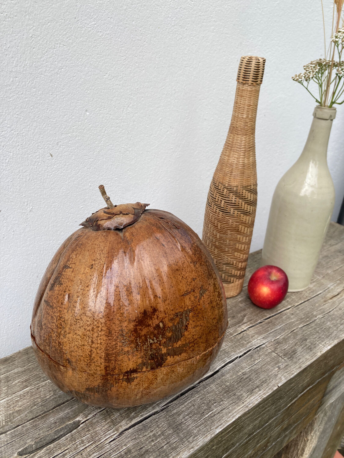 Exotic brutalist coconut ice bucket 1960