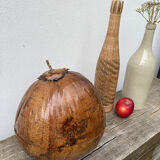 Exotic brutalist coconut ice bucket 1960