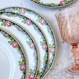 7 opaque porcelain dinner plates Digoin floral pattern 3984
