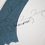 Eucalyptus