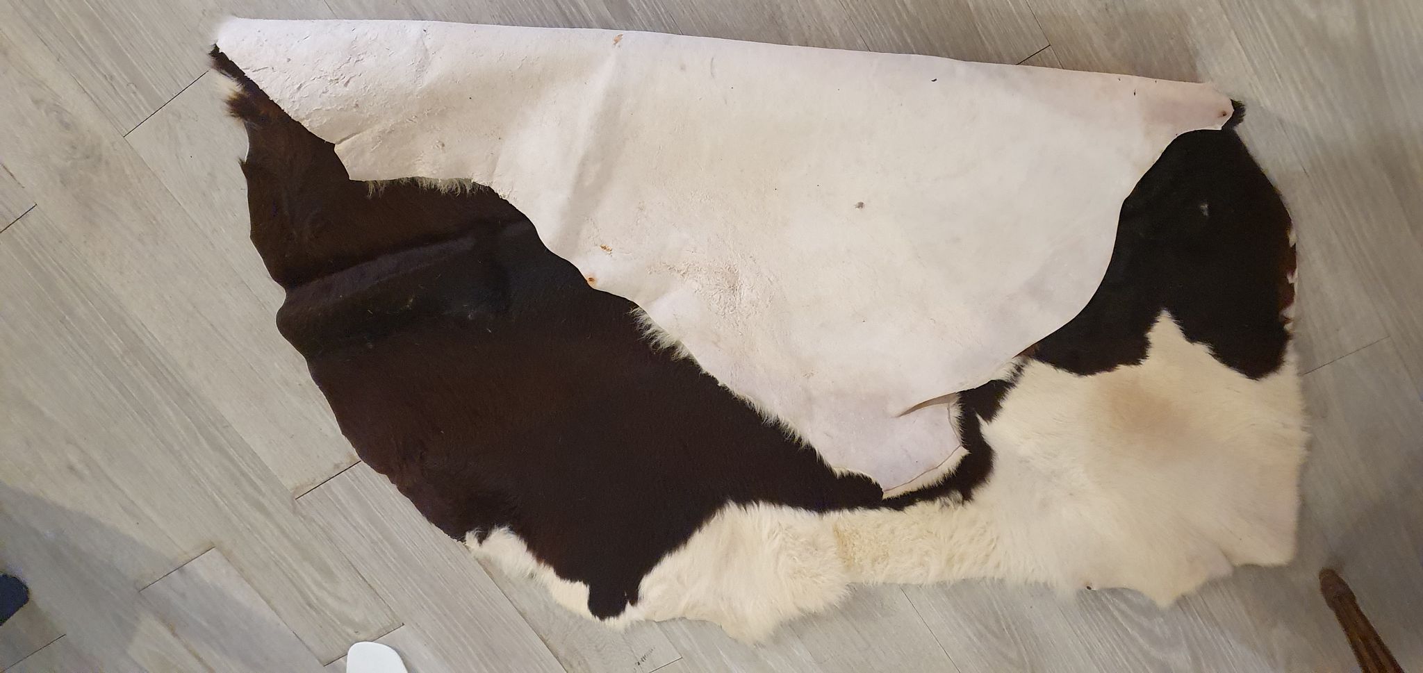 Cowhide 1980