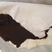 Cowhide 1980