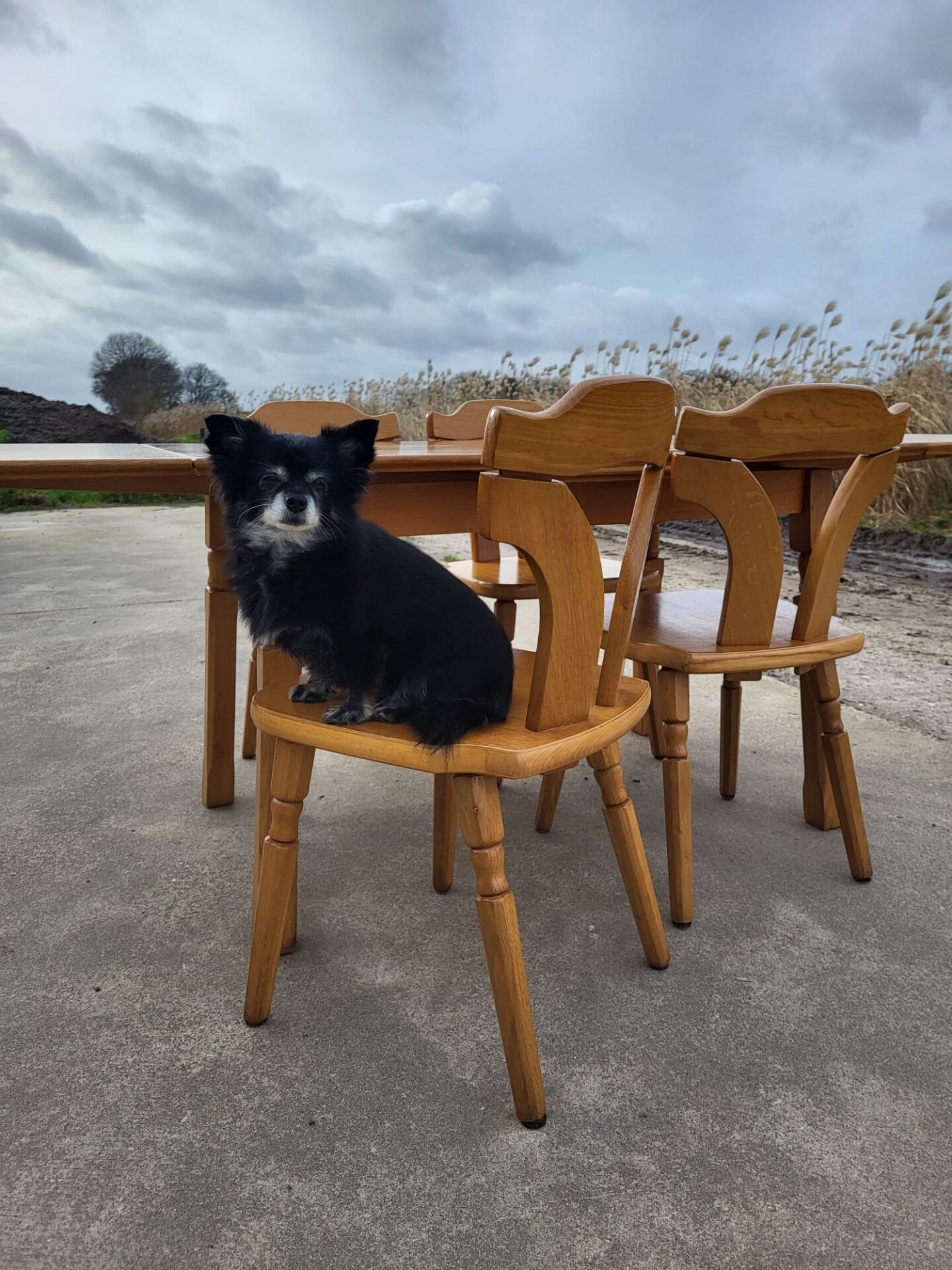 Vintage dining set - blond oak 1970s - extendable table and 4 chairs