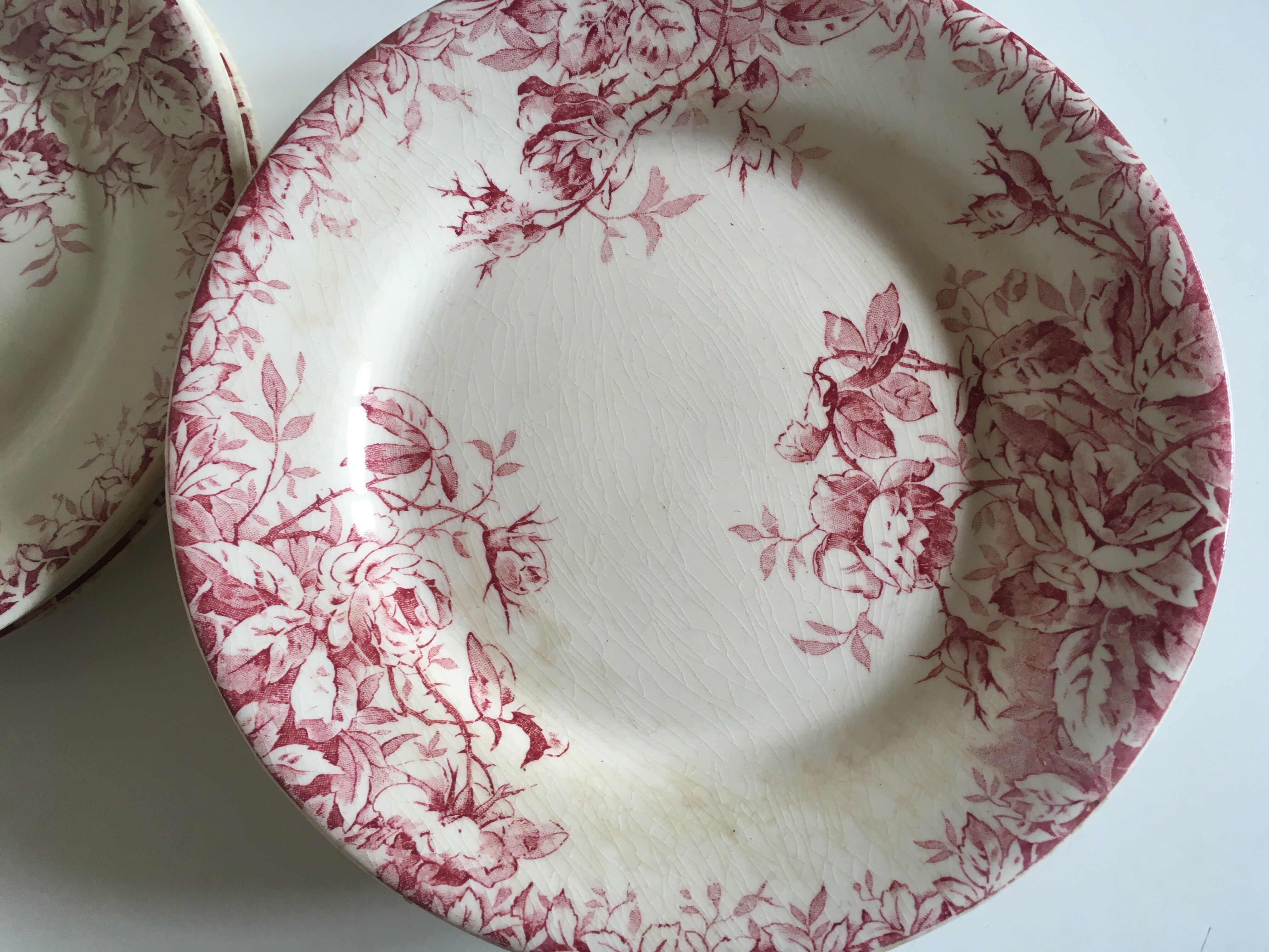 Series of 11 plates flat 19th in faience of Gien