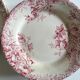 Series of 11 plates flat 19th in faience of Gien