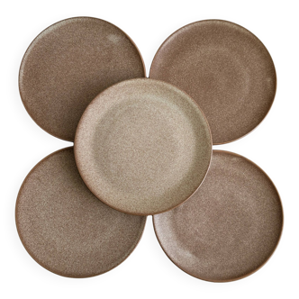 5 stoneware dessert plates.