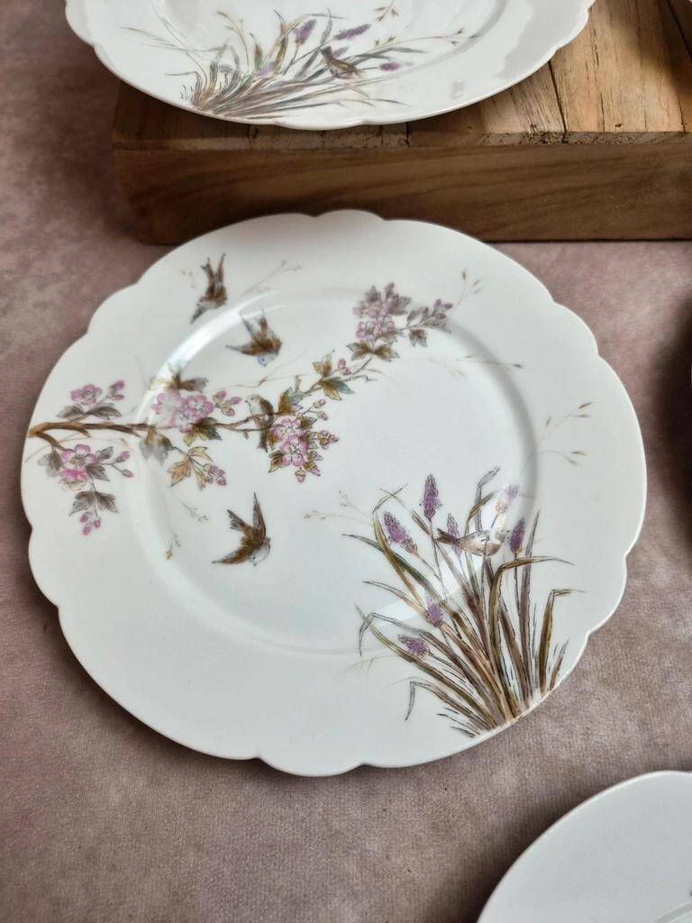 Set of 7 antique porcelain plates – Decorated with polychrome birds and flowers