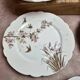 Set of 7 antique porcelain plates – Decorated with polychrome birds and flowers