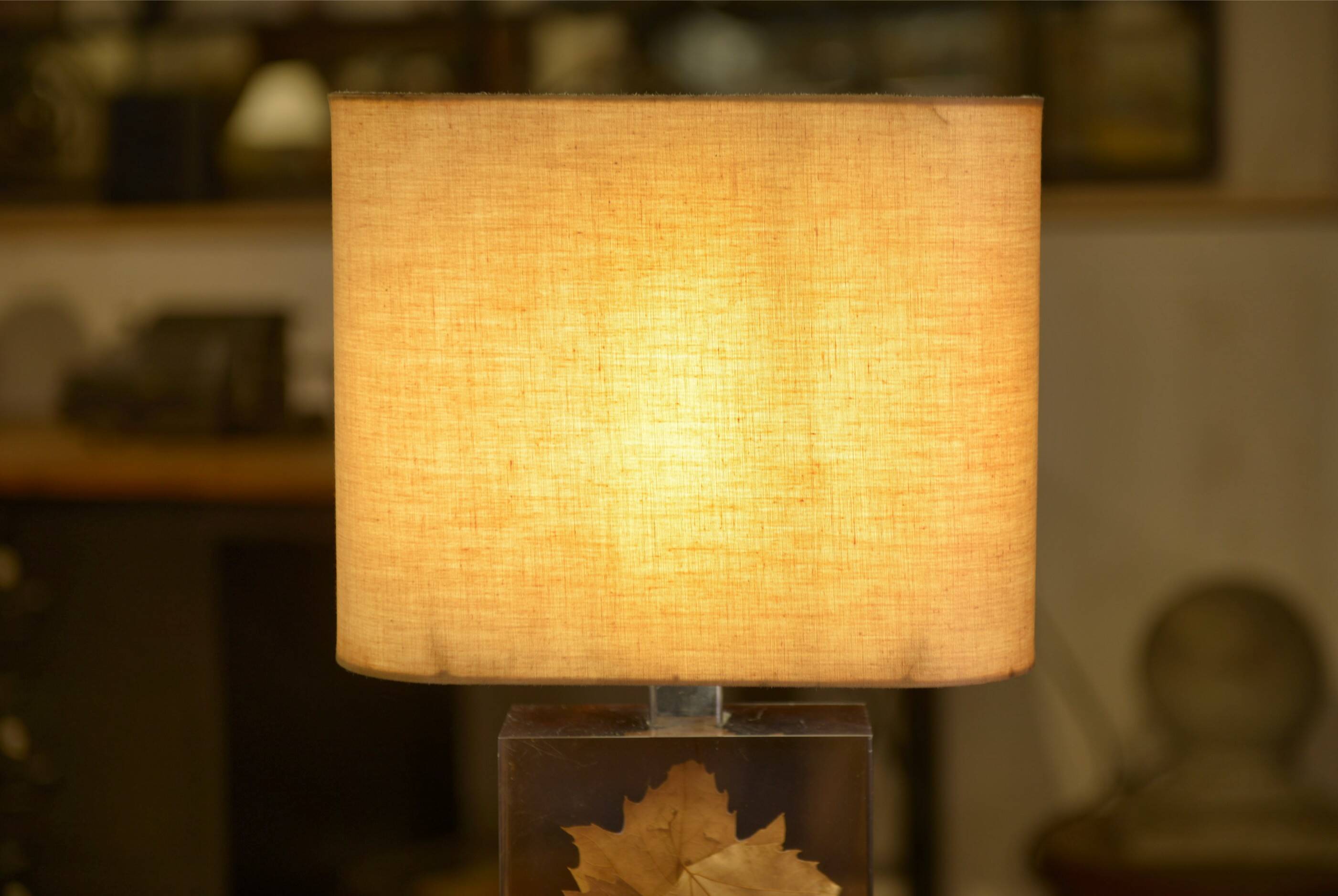 Lamp with plane tree leaf inclusion by Pierre Giraudon 1970s