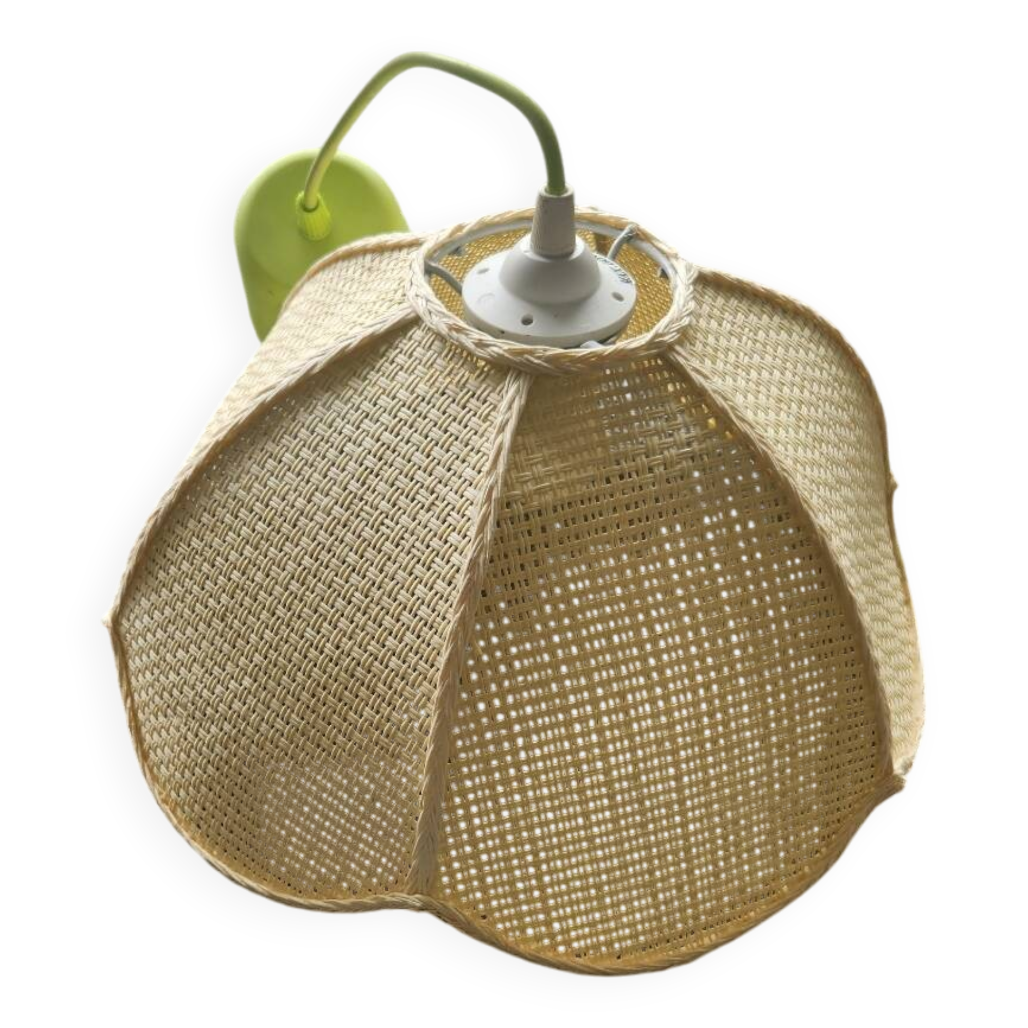 Flower suspension: vintage