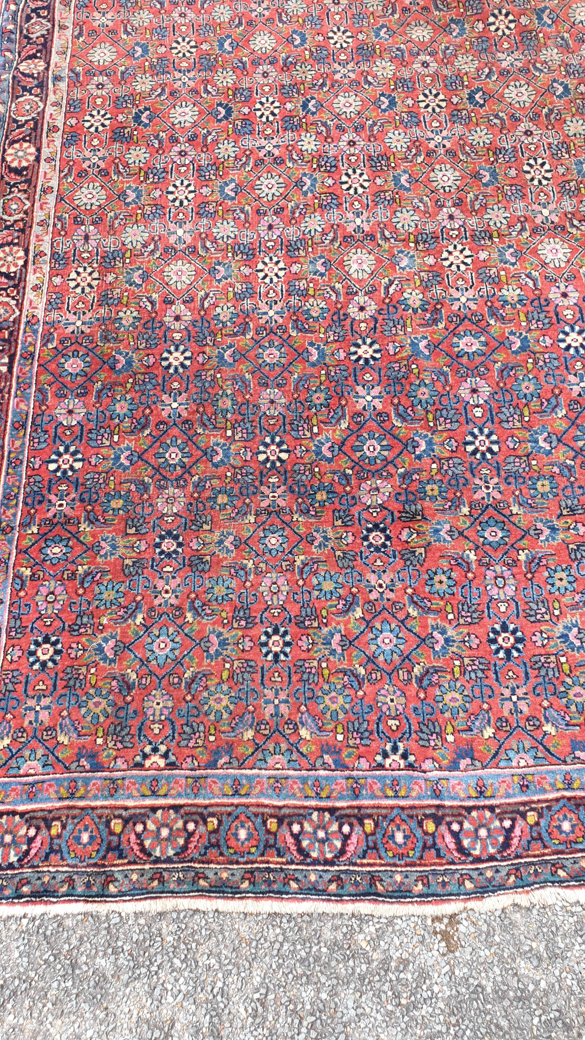 Bidjar carpet