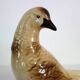 Art Deco ceramic pheasant sculpture by Sainte Radegonde