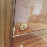 Secretary at the Louis XVI period (Stamped N. Petit & JME)