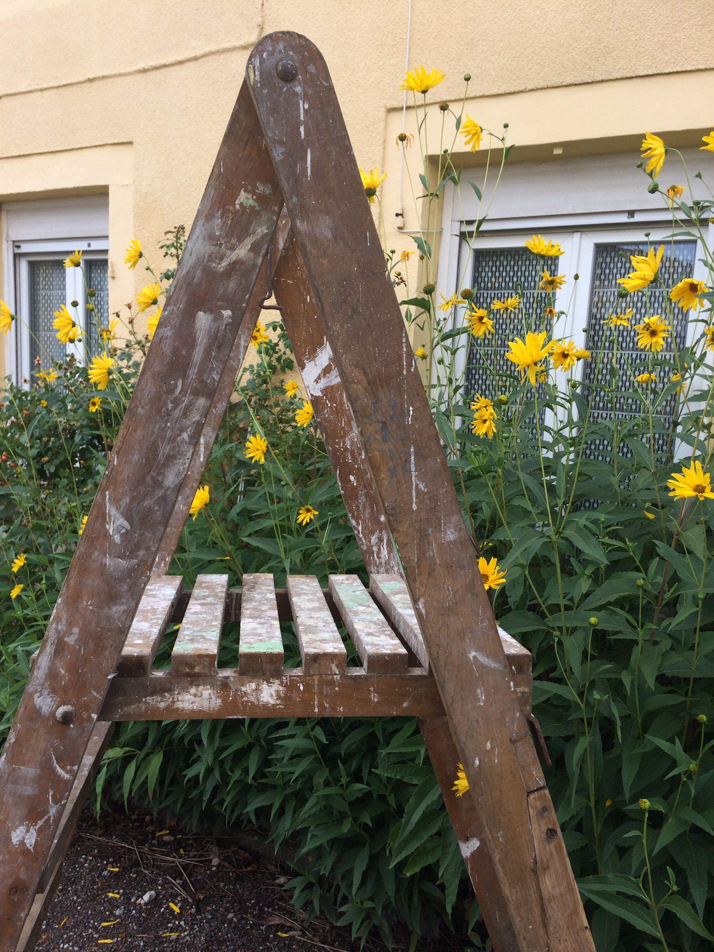 Painter's stepladder