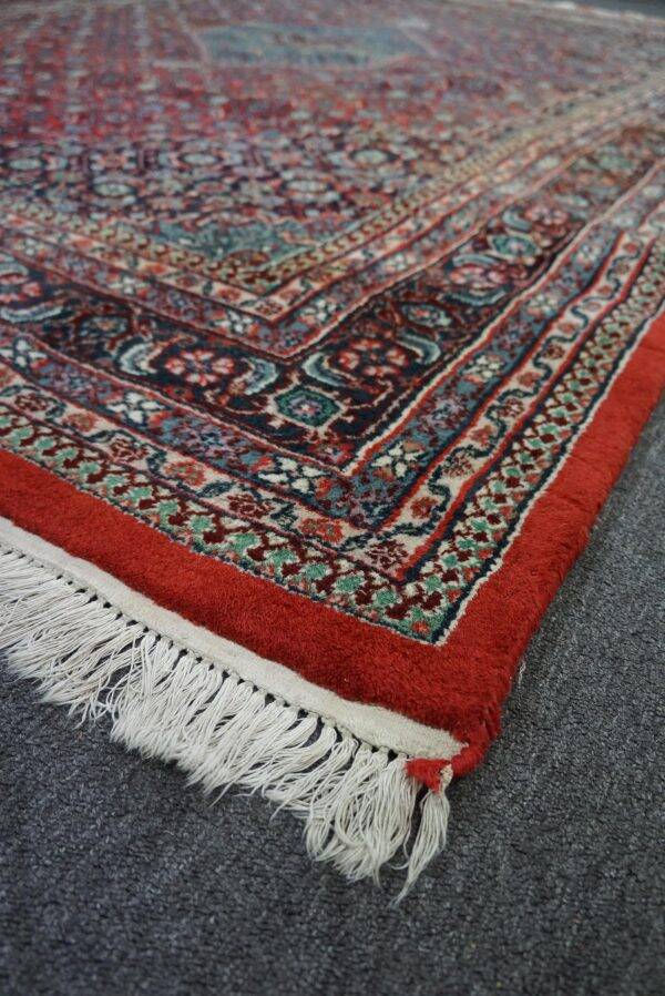 Colorful oriental rug 310 x 202 cm
