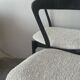 4 Chairs by Gigi Radice, 1956
