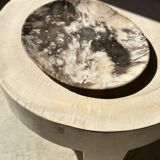 Very large pocket or dish in petrified wood