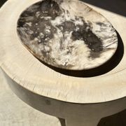 Très grand vide poche ou plat en bois pétrifié
