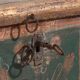 Antique trunk with floral motifs (c.1920) #24
