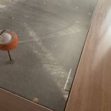 Italy coffee table in wood and glass