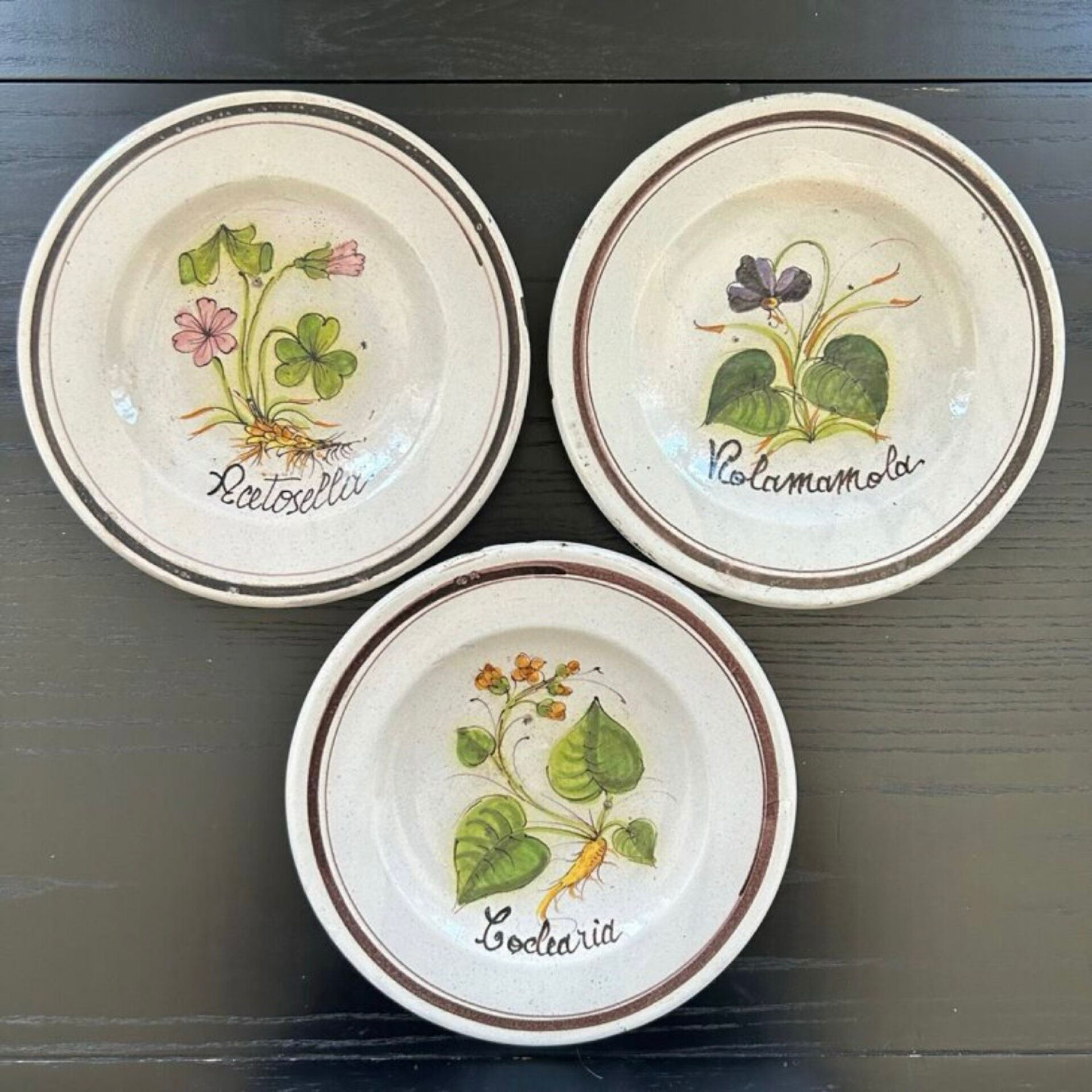 Collection of 3 botanical dishes made in Italy.