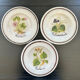Collection of 3 botanical dishes made in Italy.