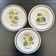 Collection of 3 botanical dishes made in Italy.