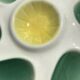 6 oyster plates Salins green earthenware cream