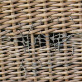 Wicker trunk
