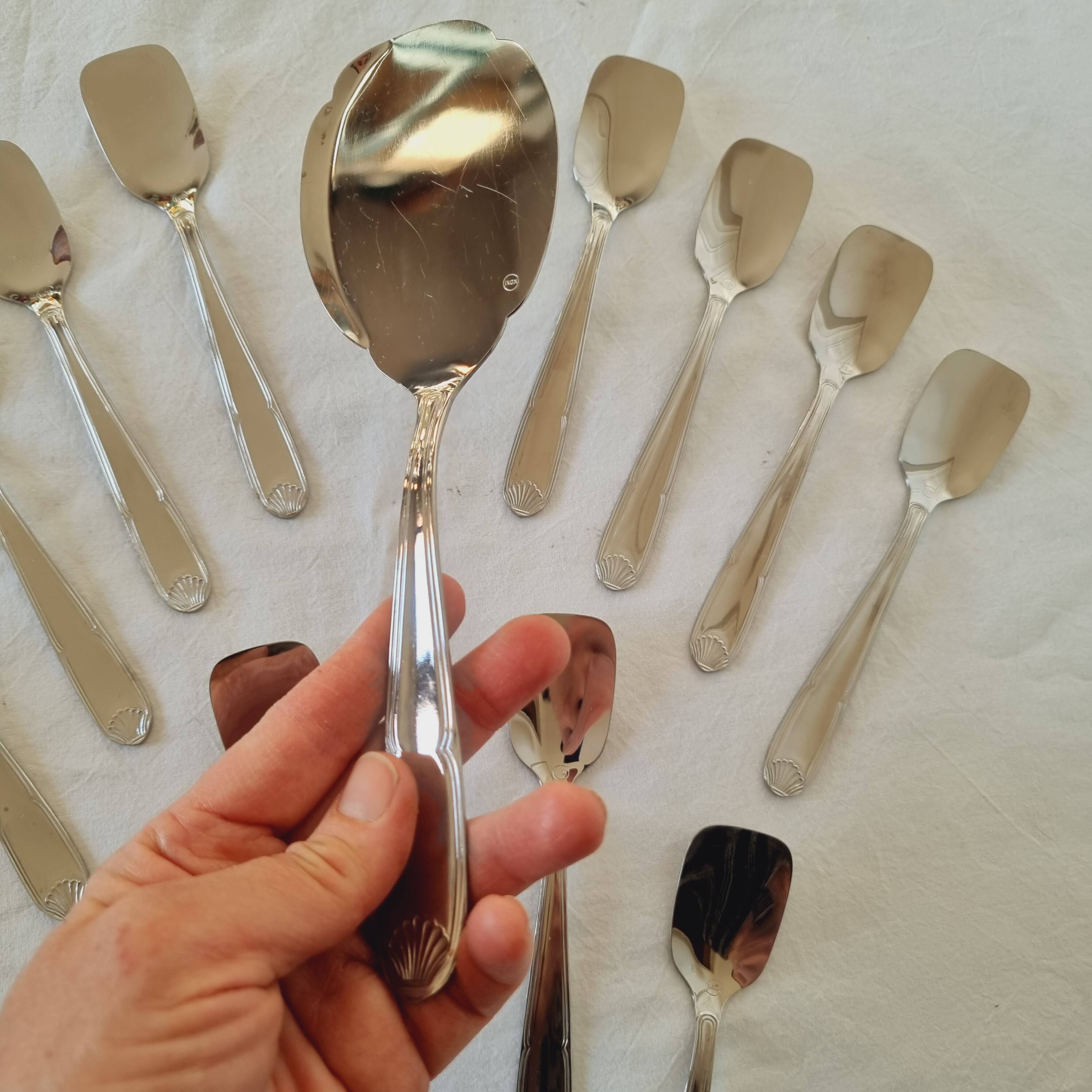 Box with 12 vintage spoons and spoon for serving ice cream in stainless steel