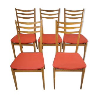 Suite de 5 chaises 1950